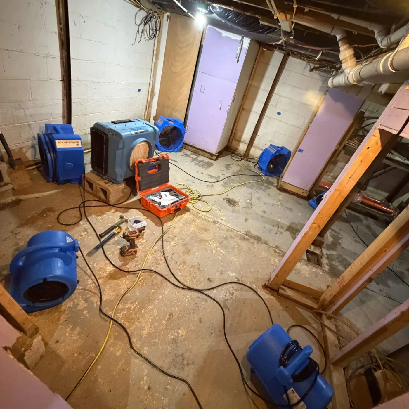 IICRC certified drying setup in Shelby County, IN